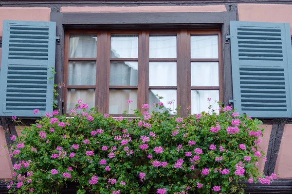 Ventana Con Geranios Casa Entramado Madera Pueblo Eguisheim Alsacia Francia — Foto de Stock