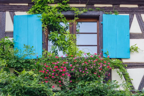 Flowering Plants Growing Window Box Half Timbered House — Stock Photo, Image