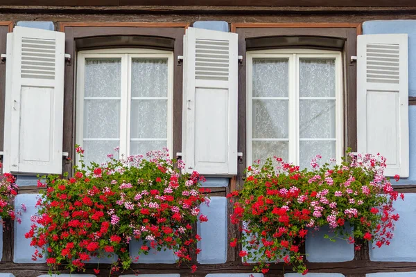 Ventanas Con Geranios Casa Entramado Madera Pueblo Eguisheim Alsacia Francia — Foto de Stock