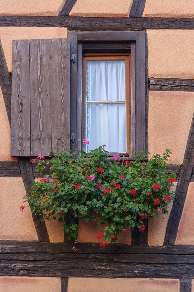 Okno Muškáty Poloroubeném Domě Vesnice Riquewihr Alsasko Francie — Stock fotografie