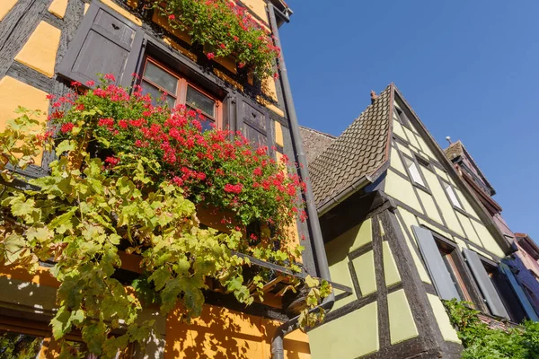 Riquewihr Köyü Alsace Bölgesi Fransa Geleneksel Yarı Ahşap Cephe Renkli — Stok fotoğraf