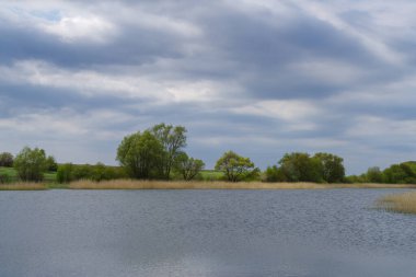 İlkbaharda gölet, Podilski Tovtry Ulusal Doğa Parkı, Khmelnytskyi bölgesi, Ukrayna