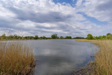 İlkbaharda gölet, Podilski Tovtry Ulusal Doğa Parkı, Khmelnytskyi bölgesi, Ukrayna