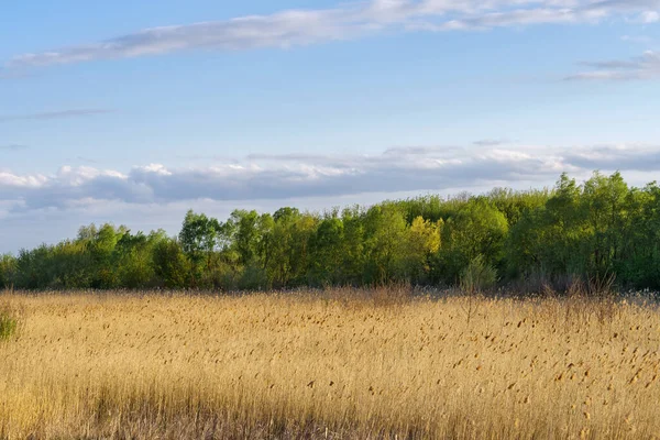 Staw Wiosną Podilski Tovtry Narodowy Park Przyrody Obwód Chmielnicki Ukraina — Zdjęcie stockowe