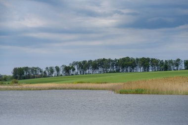İlkbaharda gölet, Podilski Tovtry Ulusal Doğa Parkı, Khmelnytskyi bölgesi, Ukrayna