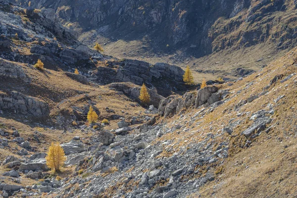 Stura Demonte Vadisi Colle Fauniera Dağ Geçidinden Yukarısı Cottian Alps — Stok fotoğraf