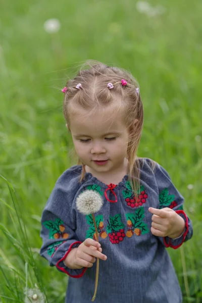 Jähriges Kaukasisches Mädchen Pflückt Löwenzahn — Stockfoto