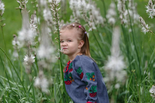 Bambina Nel Prato Fiori Selvatici Fiore Nelle Alpi Liguri Italia — Foto Stock