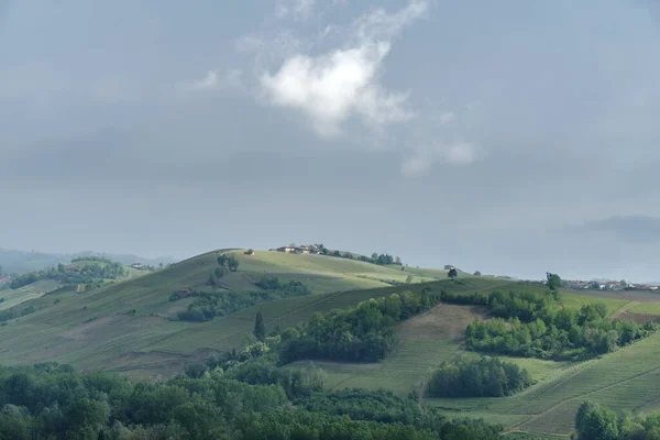 イタリアのランゲにあるブドウ畑や丘の春の風景 — ストック写真