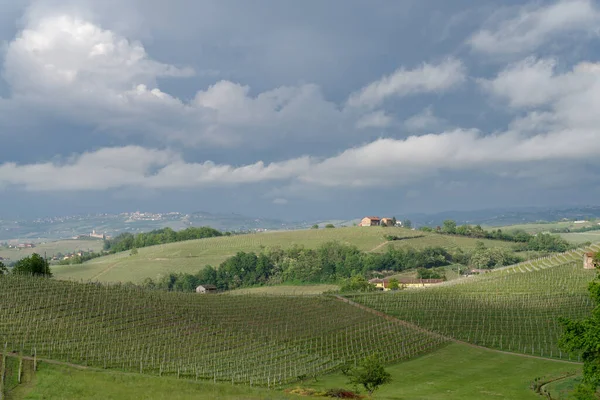 Paysage Printanier Vignes Collines Langhe Italie — Photo