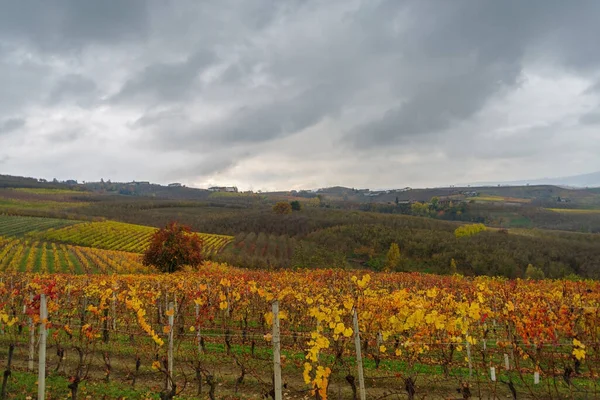 意大利北部皮埃蒙特地区兰格 Langhe 的葡萄树和山丘在雨天的自动景观 — 图库照片