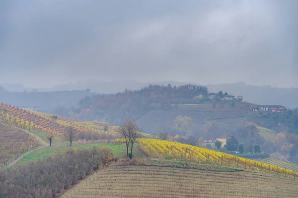 雨の日 ピエモンテ地方 北イタリアのLangheのブドウと丘の秋の風景 — ストック写真
