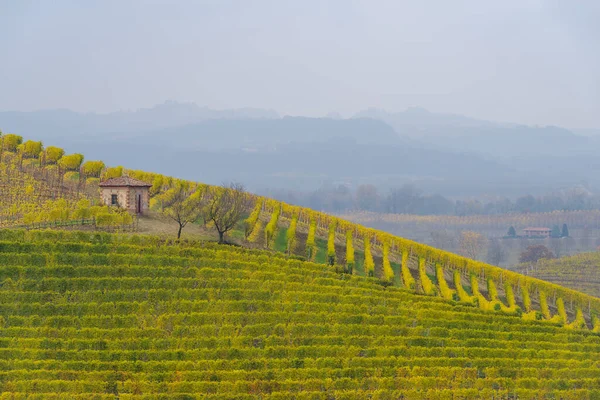 雨の日 ピエモンテ地方 北イタリアのLangheのブドウと丘の秋の風景 — ストック写真