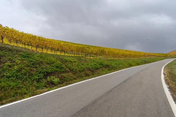 Estrada Rural Perto Das Vinhas Langhe Itália — Fotografia de Stock