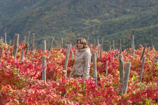 Femme Entre Une Rangée Vignes Automne Province Imperia Italie — Photo