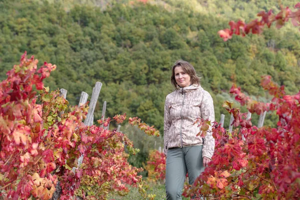 Vrouw Tussen Een Rij Wijnstokken Herfst Provincie Imperia Italië — Stockfoto