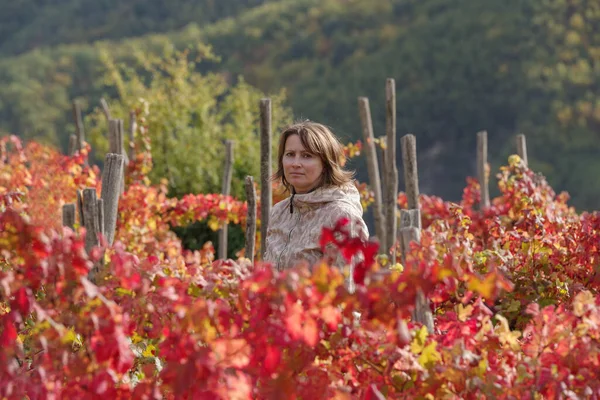 Woman Row Grape Vines Autumn Province Imperia Italy — Stockfoto