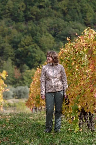 Woman Row Grape Vines Autumn Province Imperia Italy — Stock Photo, Image