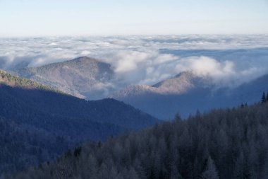 Fog revealing Ligurian Alps mountain range,  Province of Imperia, Italy