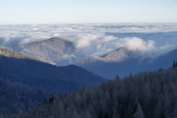 Fog Revealing Ligurian Alps Mountain Range Province Imperia Italy — Photo