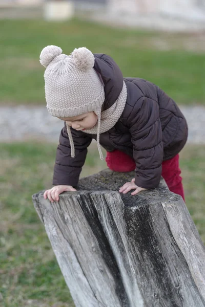 Girl playing on old tree stump in a public park