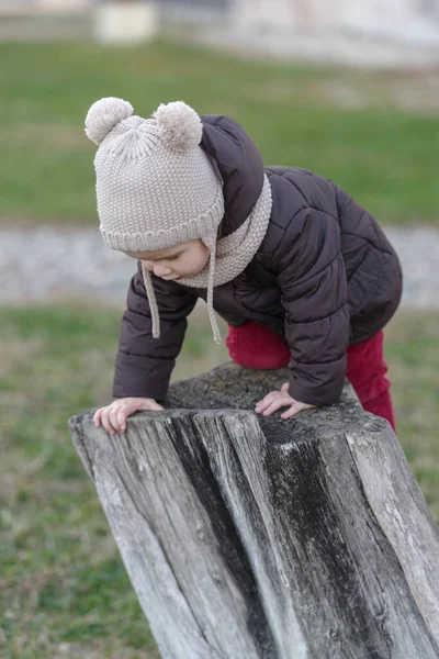 Girl Playing Old Tree Stump Public Park — Foto Stock