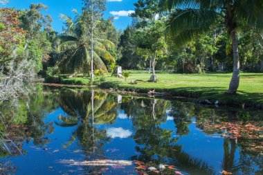  doğa avuç içi deniz