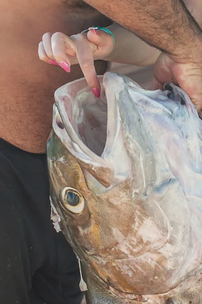 Pesca de peces el mar — Foto de Stock