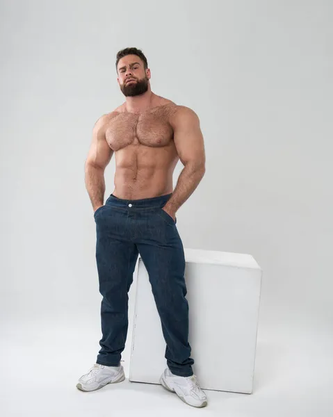 Shirtless Bodybuilder Blue Jeans White Background Studio — Stock Photo, Image