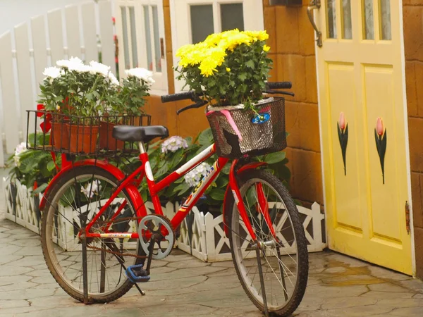 This vintage red girls bicycle has beautiful yellow flowers in a basket on the front of the bike