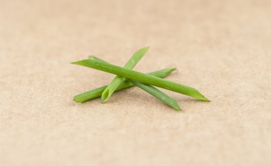 kıyılmış yeşil soğan