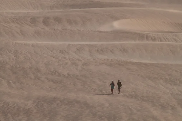 Desert Walk — Stock Photo, Image