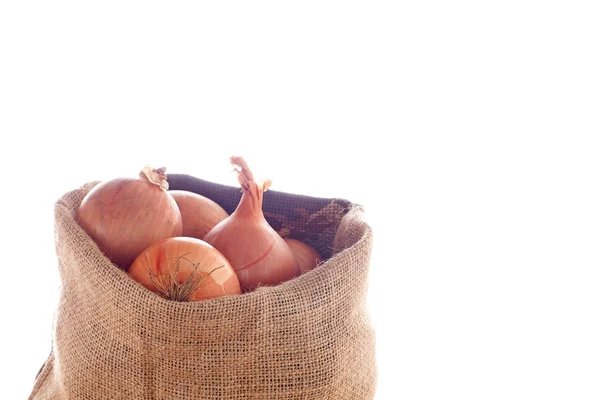 Onions — Stock Photo, Image