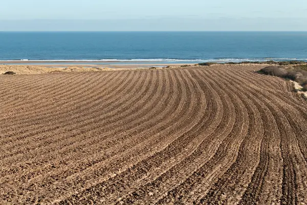 Ploughed Field — Stock Photo, Image