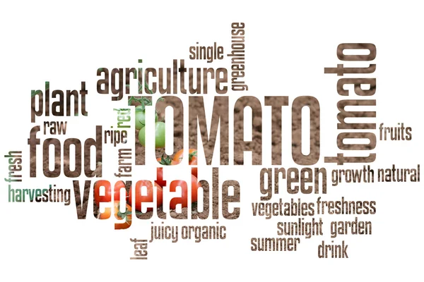 Tomato Wordcloud — Stock Photo, Image