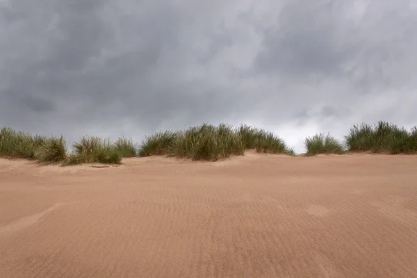 모래 모래 모래 — 스톡 사진