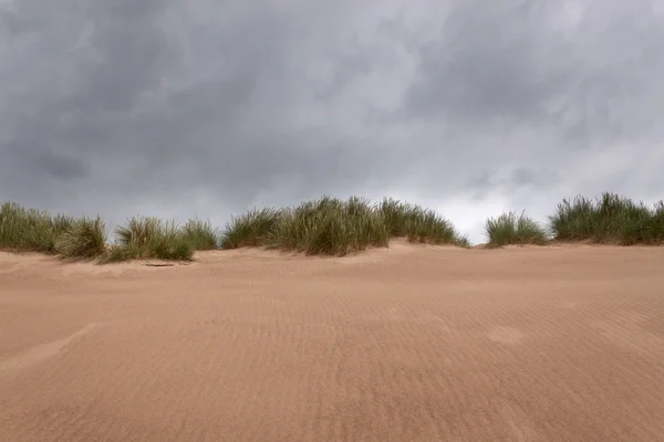 Sanddyn — Stockfoto