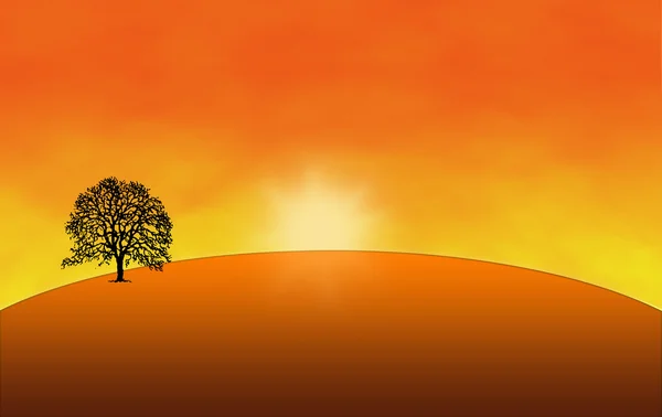Tree on a Hill — Stock Photo, Image