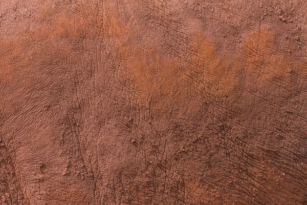 Текстура кожи носорога — стоковое фото