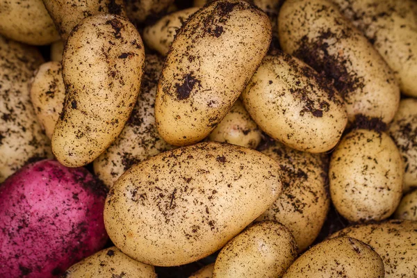 Potatoes — Stock Photo, Image