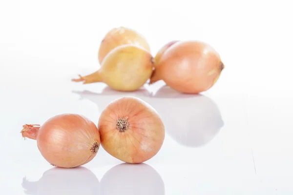 Onions — Stock Photo, Image