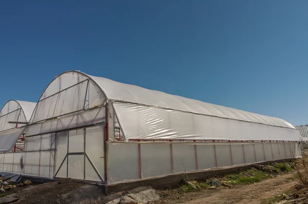 Polythene Greenhouse — Stock Photo, Image