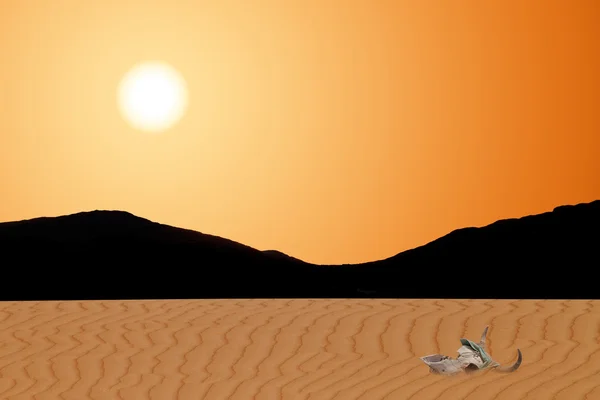 Desert — Stock Photo, Image