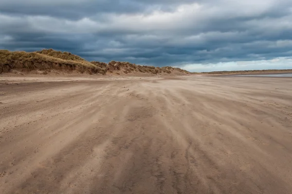 Tempête de sable — Photo