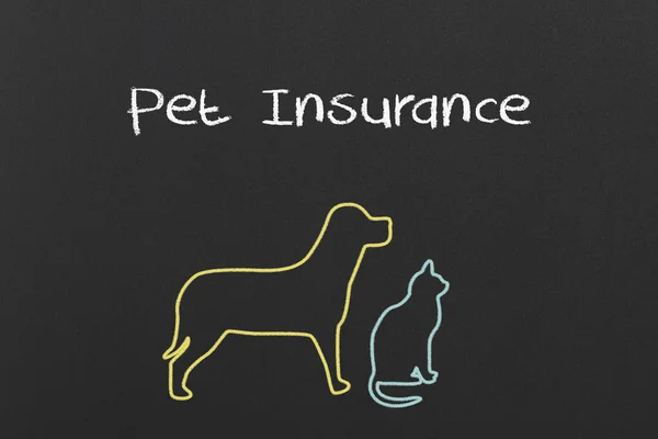PET pojištění — Stock fotografie