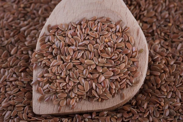 Flax Seeds — Stock Photo, Image