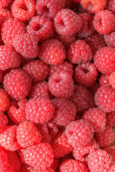 Raspberries — Stock Photo, Image