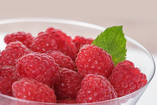 Ripe Raspberries — Stock Photo, Image