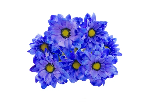 Flores azules Imágenes de stock libres de derechos