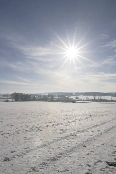 Winter landscape — Stock Photo, Image